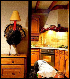 Funny Christmas Turkey Picture