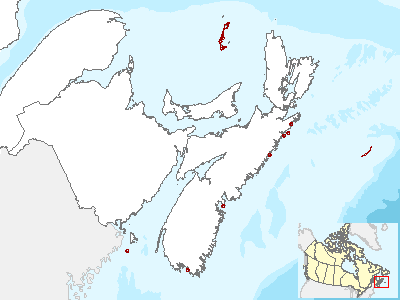 Roseate Tern Range Map