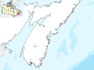 Water-pennywort Range Map